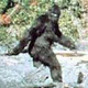 Illustration for article titled The Utterly Unsurprising Origins Of Bigfoots DNA Samples
